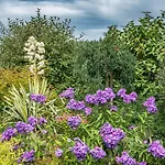 Stastna Samota Holiday home Vrchotovy Janovice