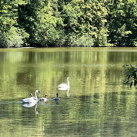 Stastna Samota * Vrchotovy Janovice