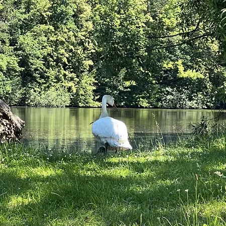 Hébergement de vacances Stastna Samota *