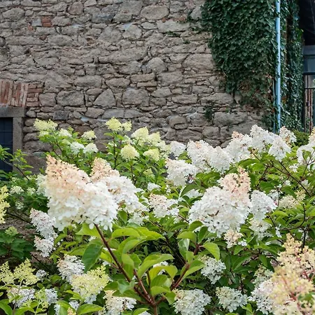 Holiday home Stastna Samota *