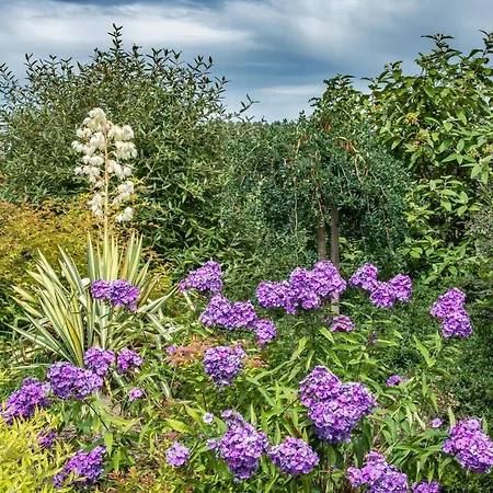 Stastna Samota Hébergement de vacances Vrchotovy Janovice