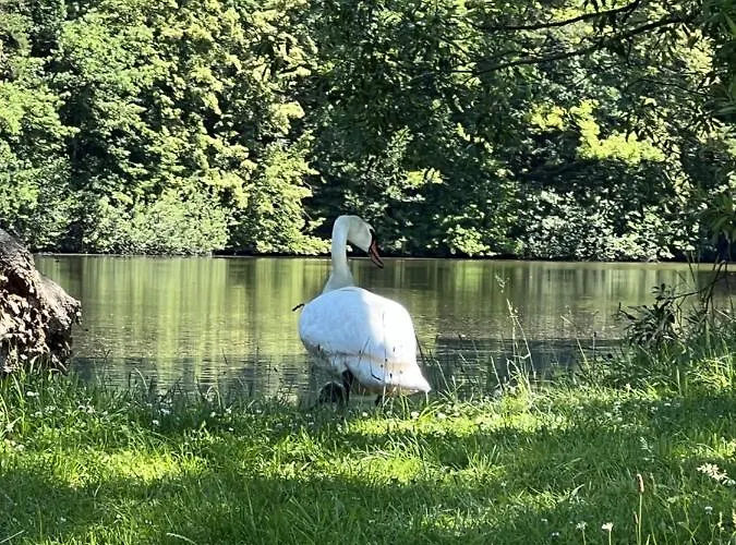 度假居 Stastna Samota *