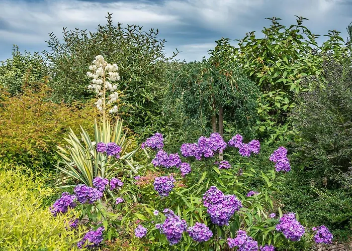 Stastna Samota Feriehus Vrchotovy Janovice